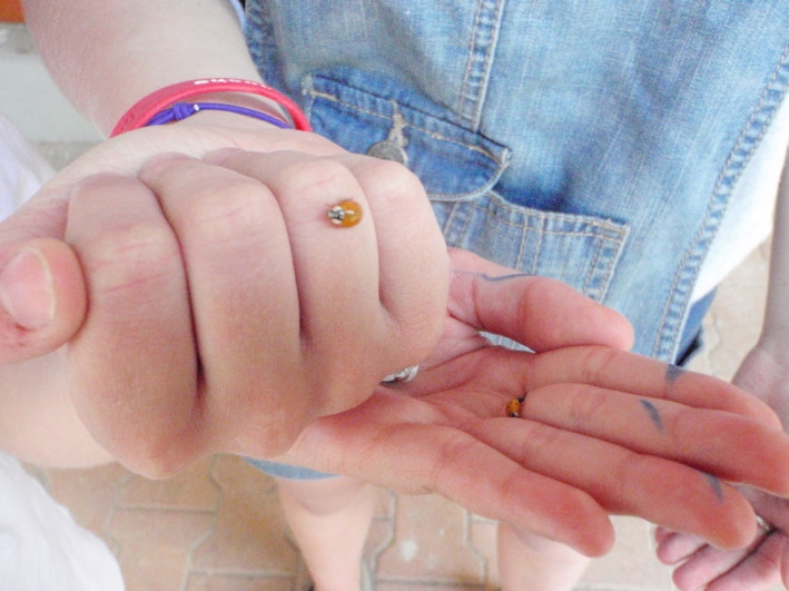 Village Camps International Summer Camp Ard&egrave;che, France 2019-07-26 https://www.villagecamps.com/journals_admin/images/251--July 7 24320110707.jpg